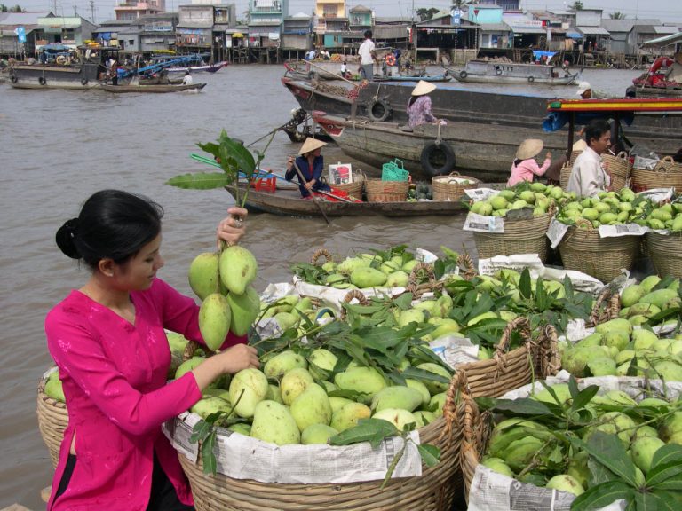 Chợ nổi miền Tây